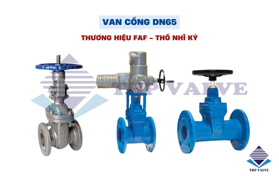 van cổng dn65 faf thổ nhĩ kỳ