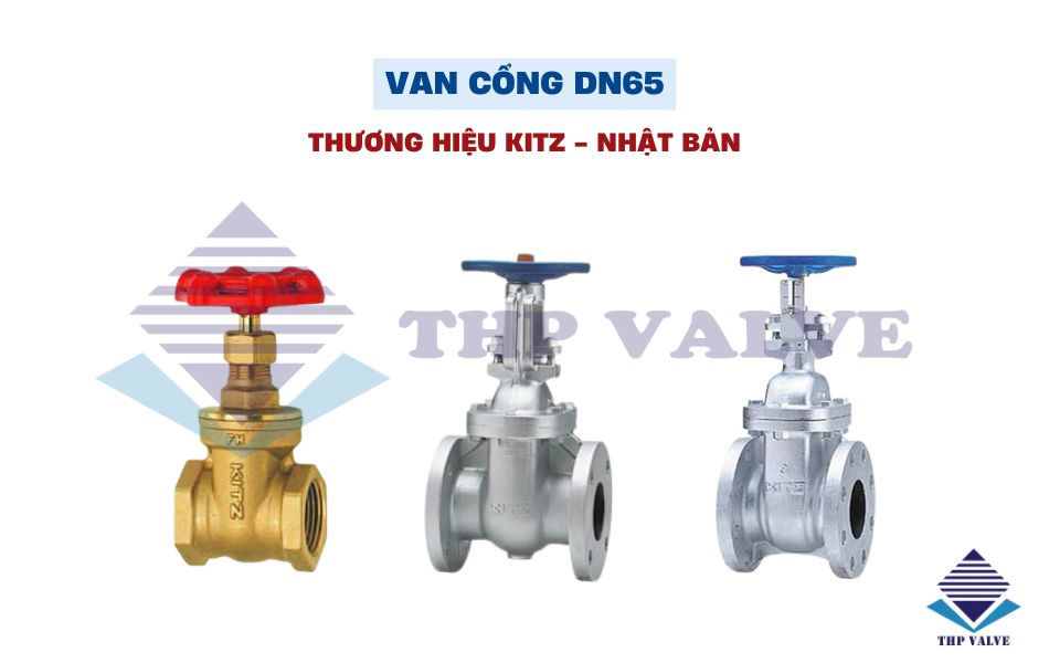 van cổng dn65 kitz nhật bản