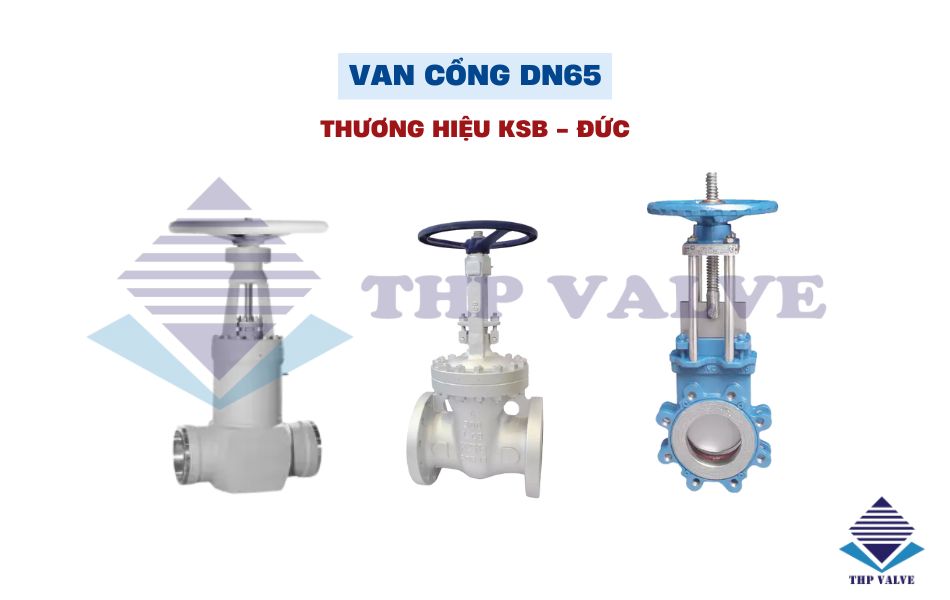van cổng dn65 ksb đức