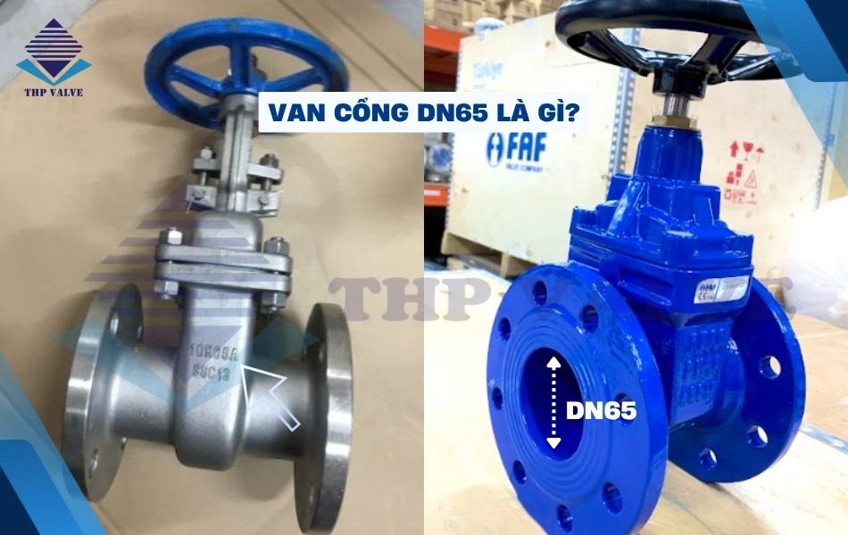 van cổng dn65 là gì