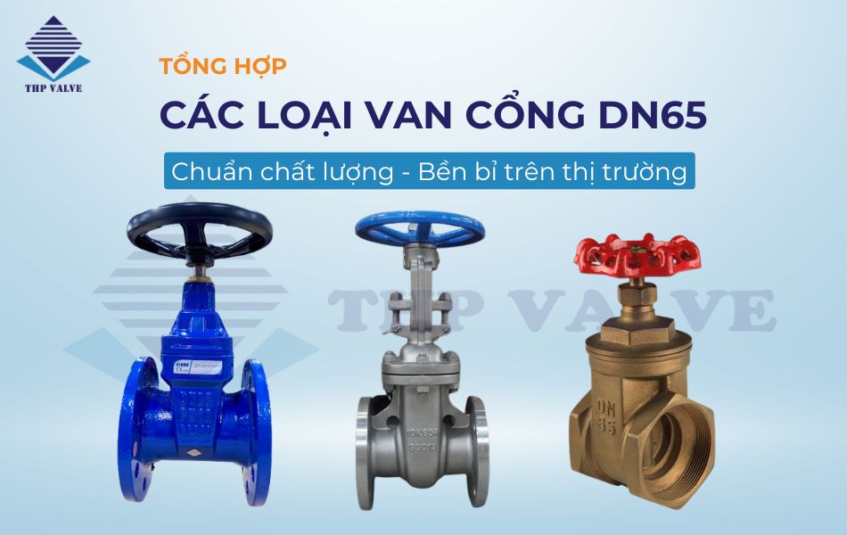 van cổng dn65