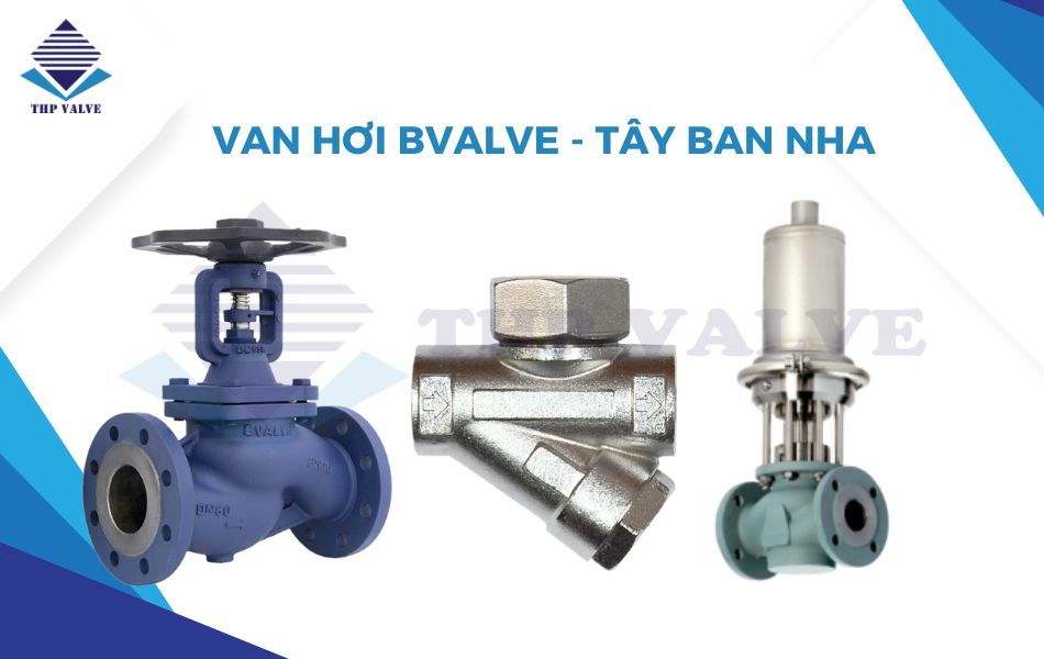 van hơi bvalve