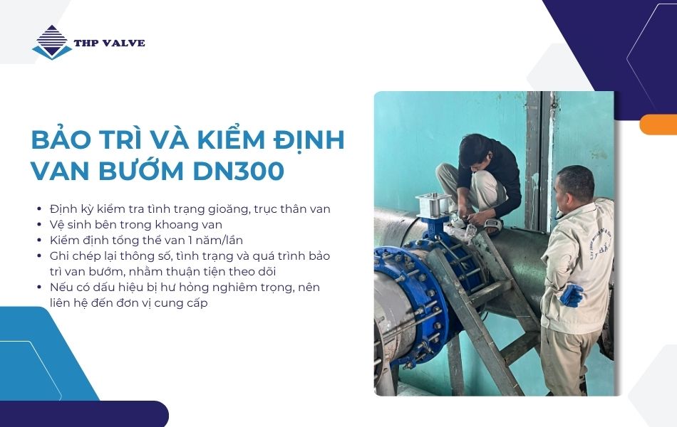 hướng dẫn bảo trì và kiểm định van bướm dn300