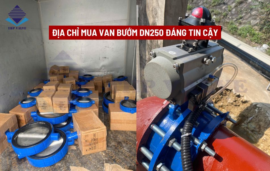 tuấn hưng phát valve cung cấp van bướm dn250 chất lượng
