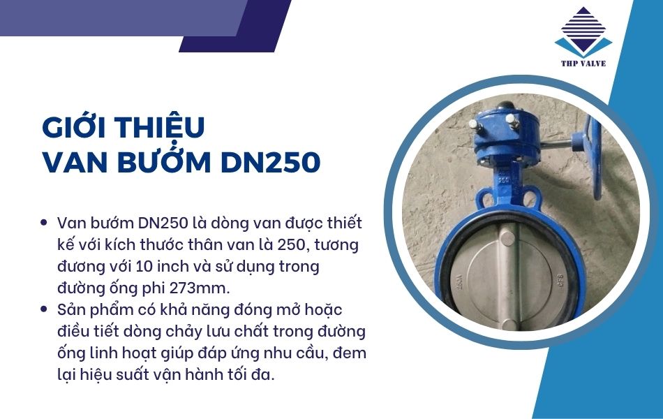 van bướm dn250 là gì
