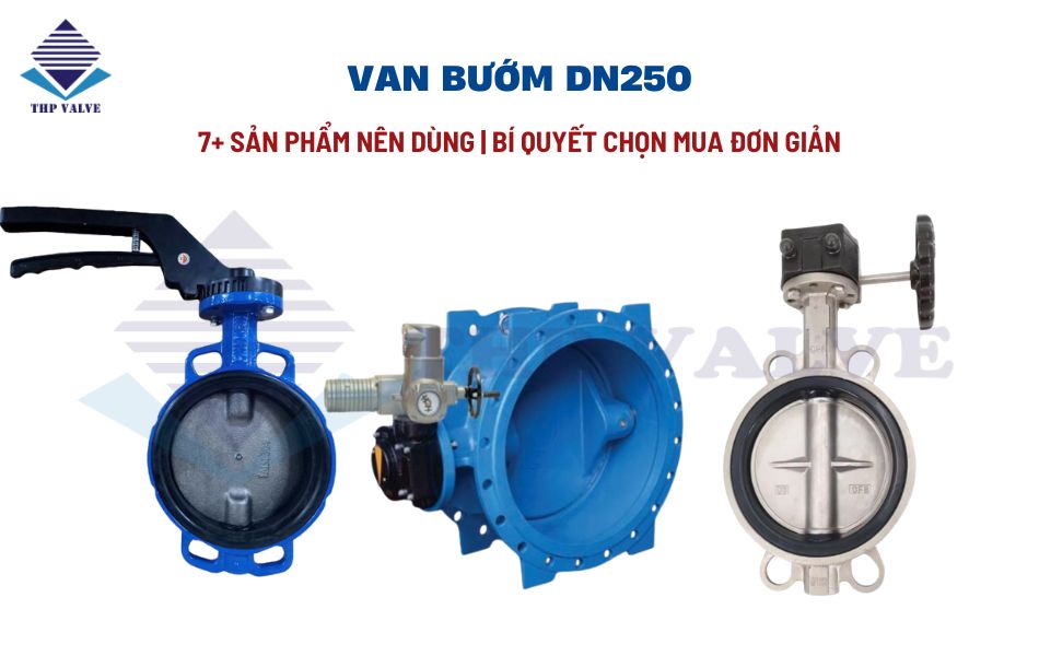 van bướm dn250