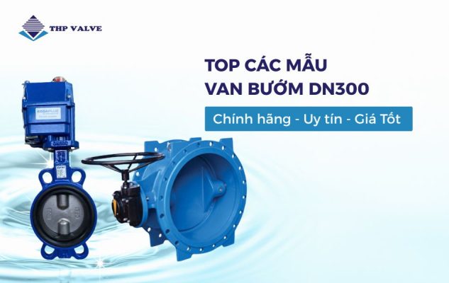van bướm dn300