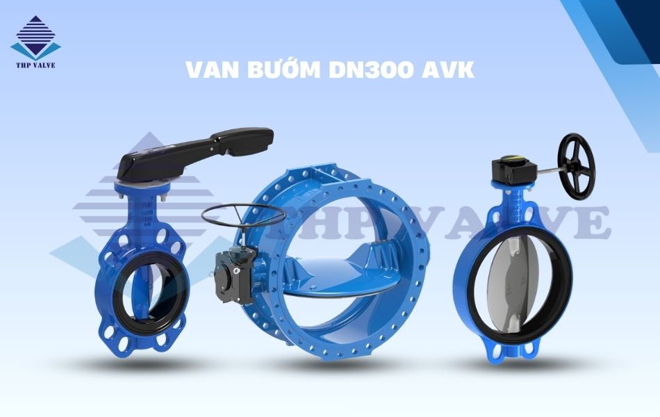 van bướm dn300 avk