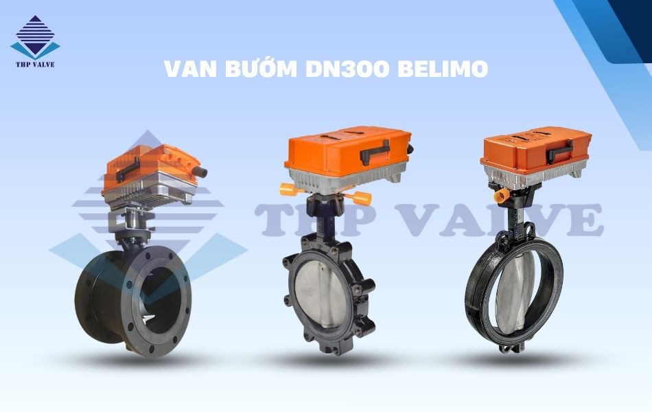 van bướm dn300 belimo