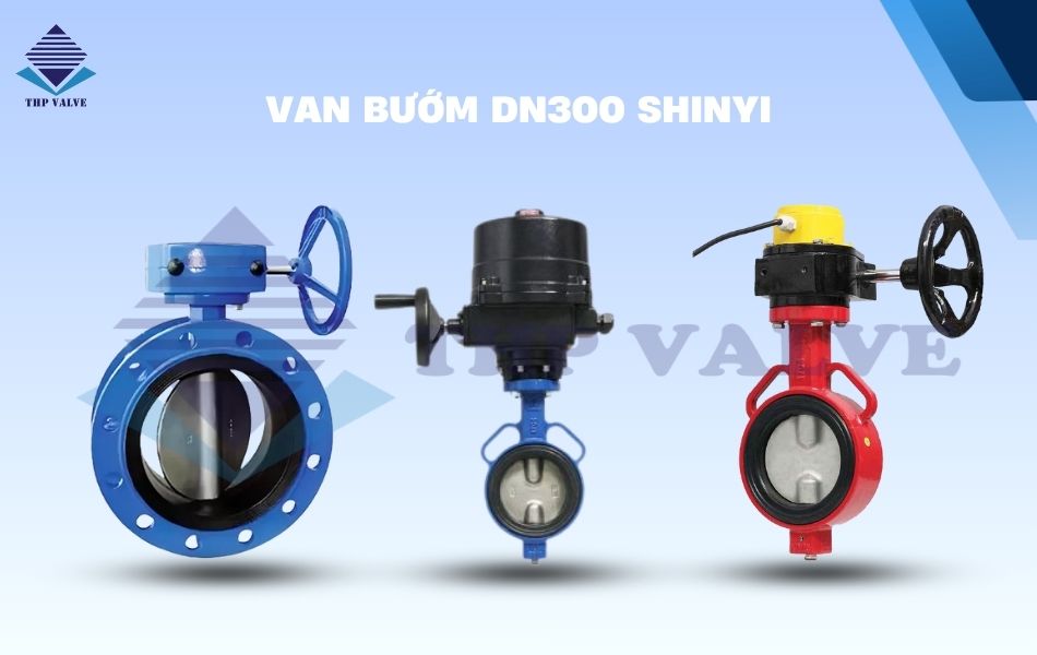 van bướm dn300 shinyi