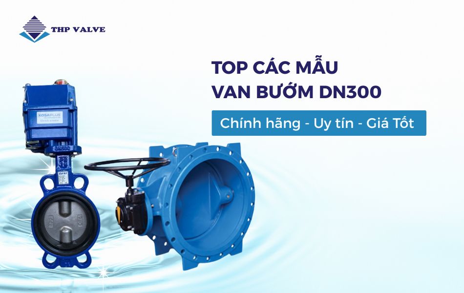 van bướm dn300