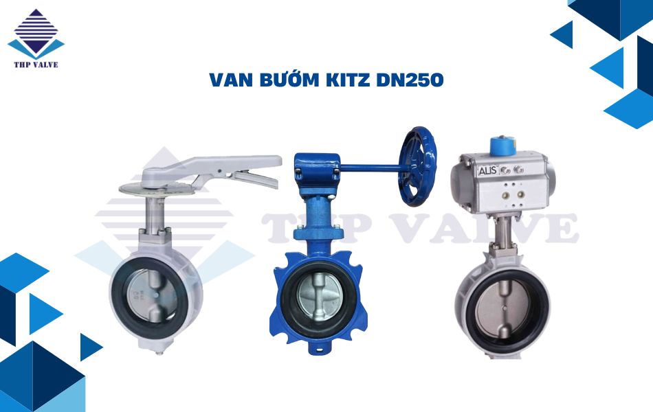 van bướm kitz dn250