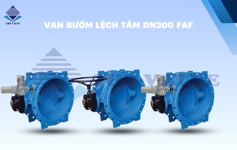 van bướm lệch tâm dn300 faf