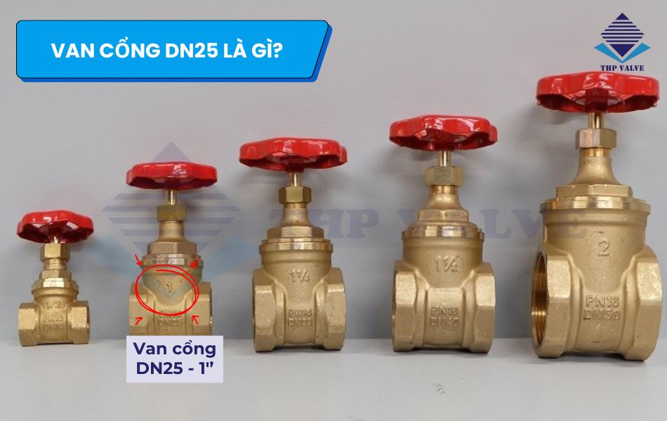 tìm hiểu van cổng dn25