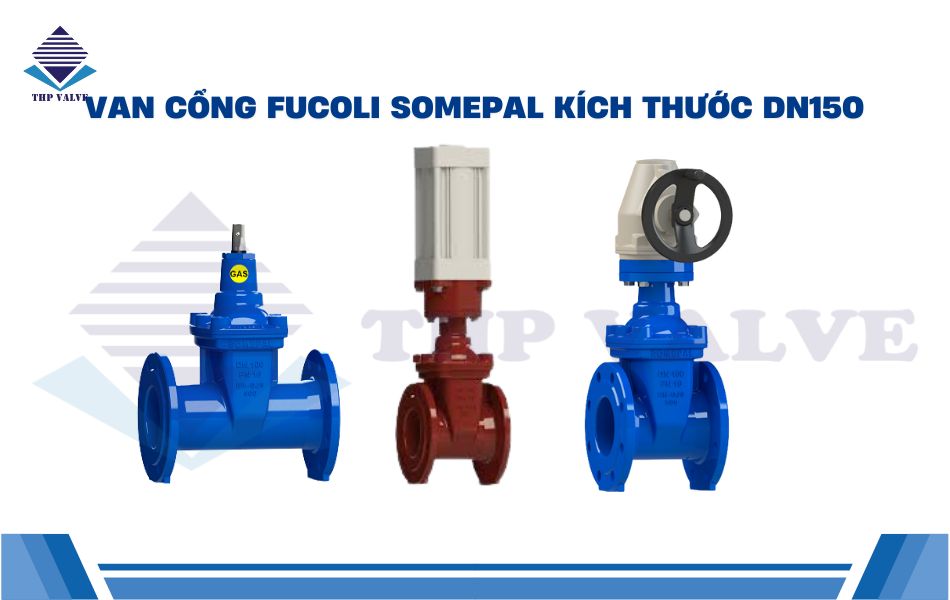 Van cổng Fucoli Somepal kích thước DN150