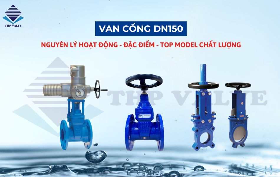 van cổng dn150