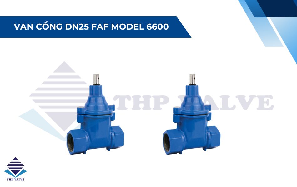 Van cổng DN25 FAF model 6600