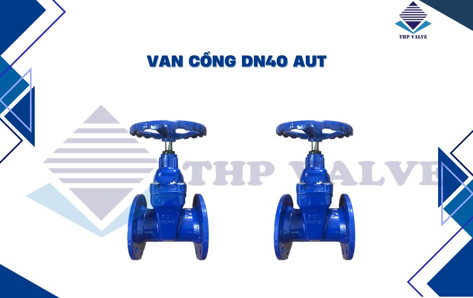 Van cổng DN40 thương hiệu AUT