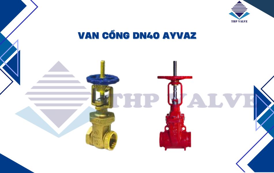 Van cổng DN40 thương hiệu Ayvaz