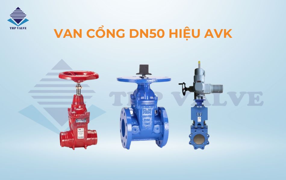 Van cổng DN50 hiệu AVK