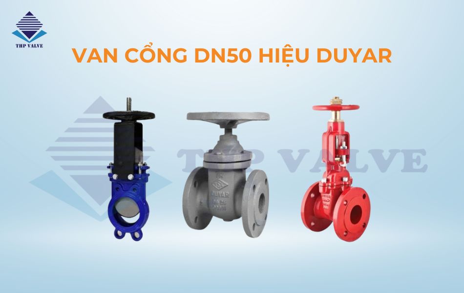 Van cổng DN50 hiệu Duyar