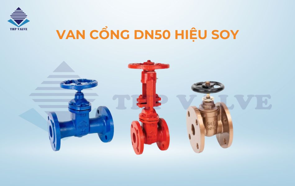 Van cổng DN50 hiệu SOY