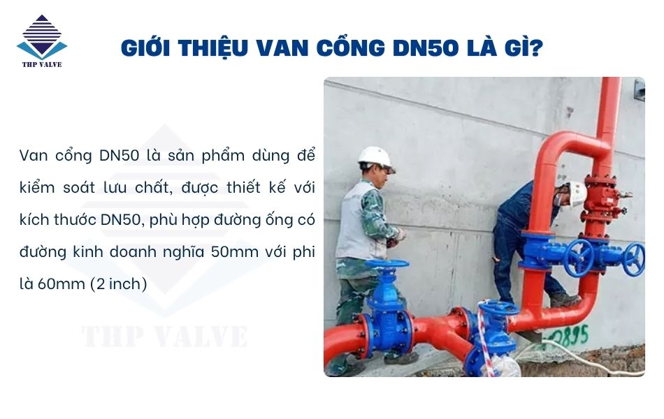 van cổng dn50 là gì