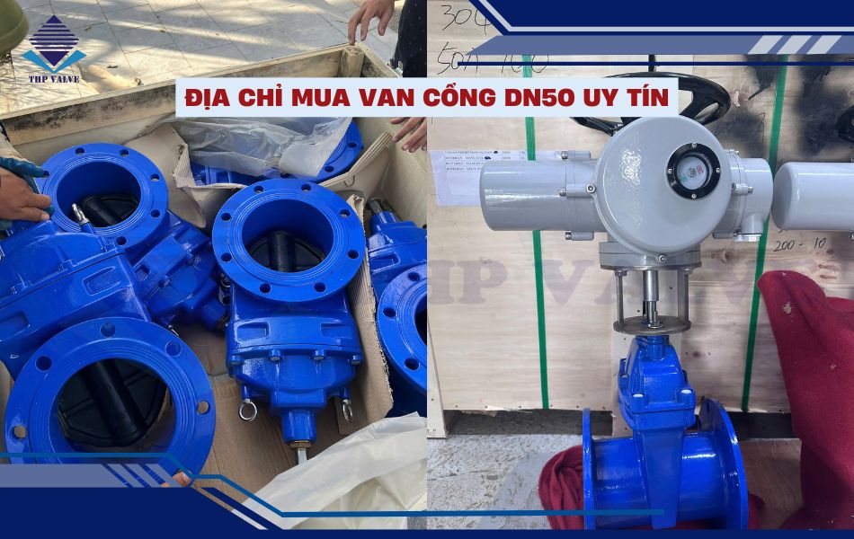 van cổng dn50 sẵn hàng tại tuấn hưng phát valve