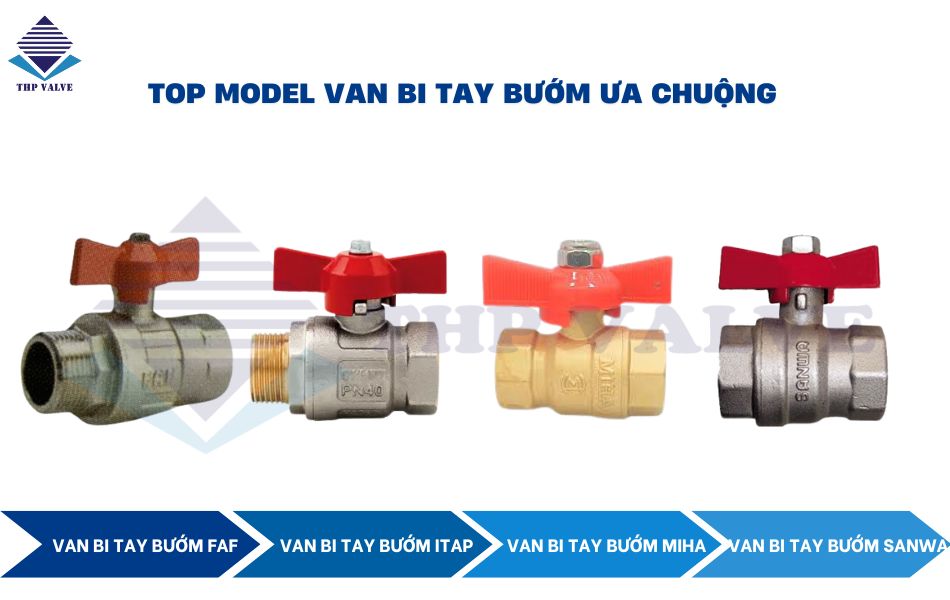 top model van bi tay bướm ưa chuộng