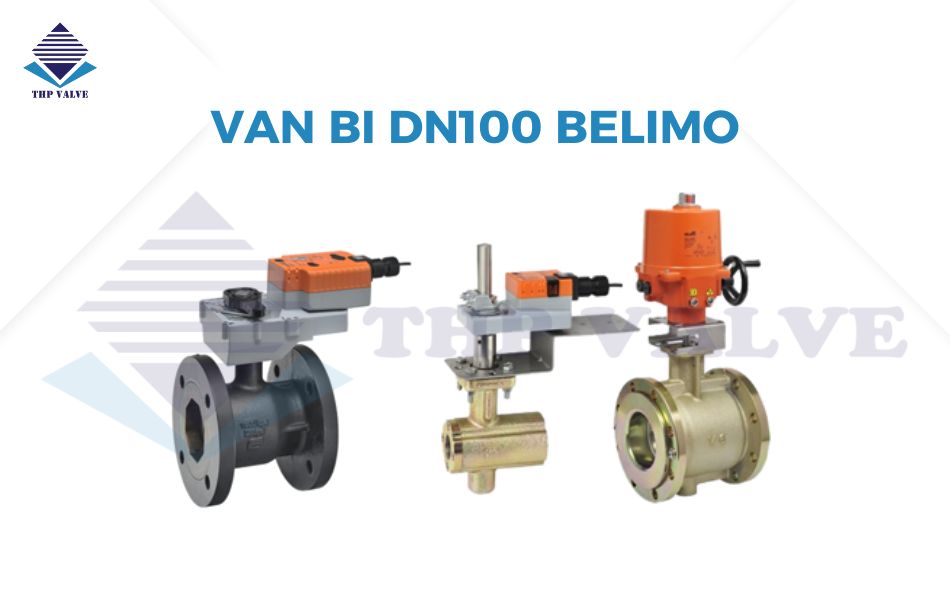 Van bi DN100 Belimo