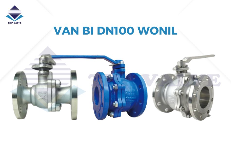 Van bi DN100 Wonil