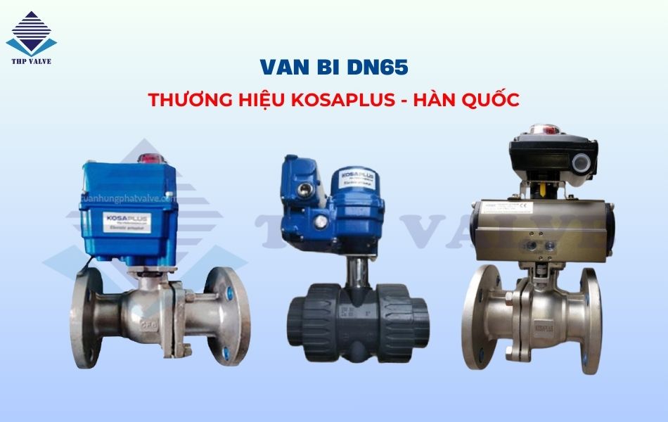 Van bi Kosaplus Hàn Quốc DN65
