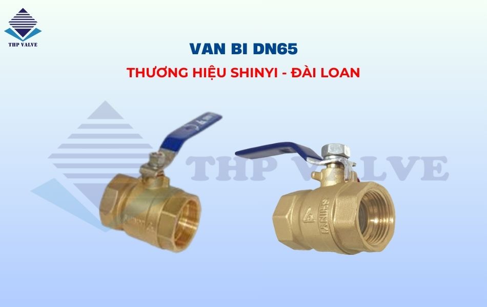 Van bi Shinyi Đài Loan DN65