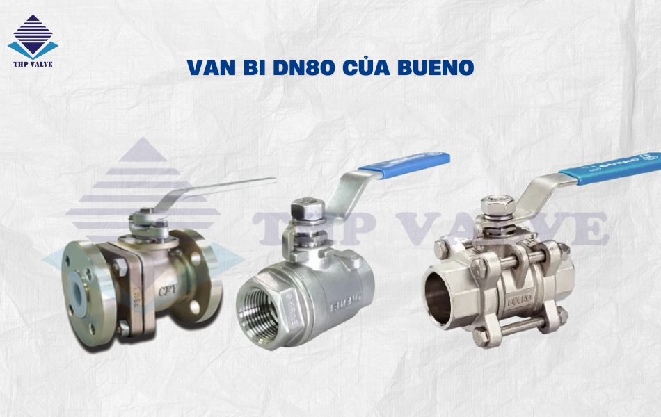 Van bi DN80 của Bueno