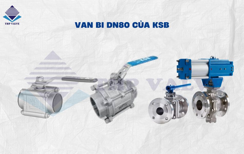 Van bi DN80 của KSB