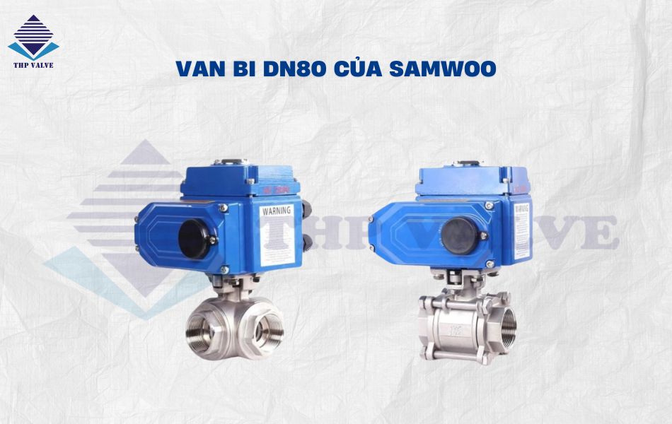 Van bi DN80 của Samwoo