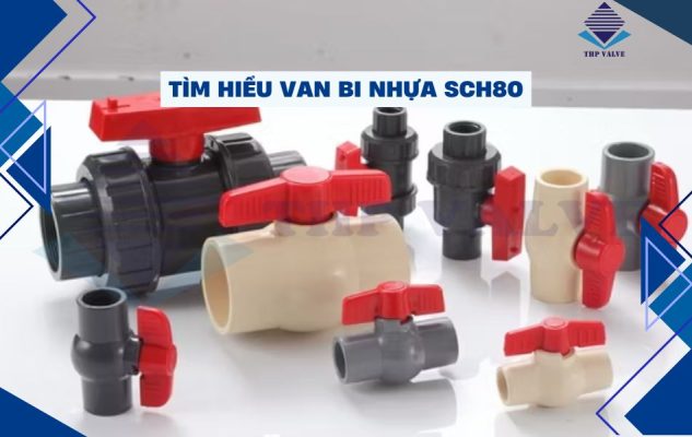 van bi nhựa sch80