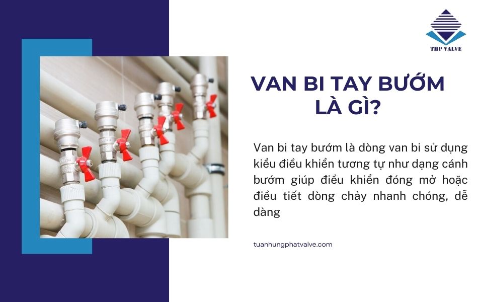van bi tay bướm là gì