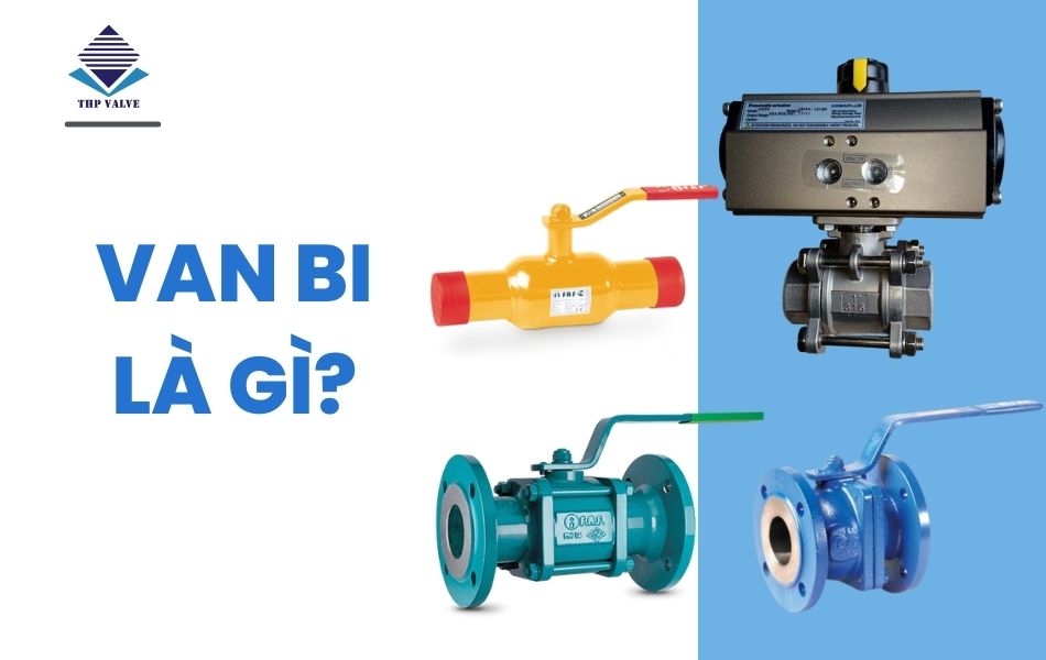 van bi là gì