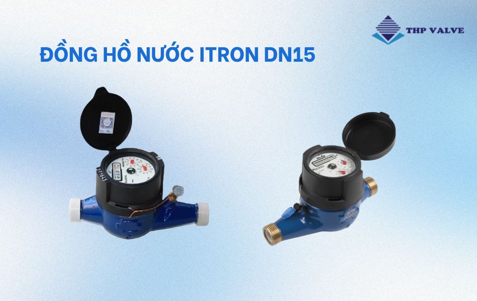 đồng hồ nước itron dn15
