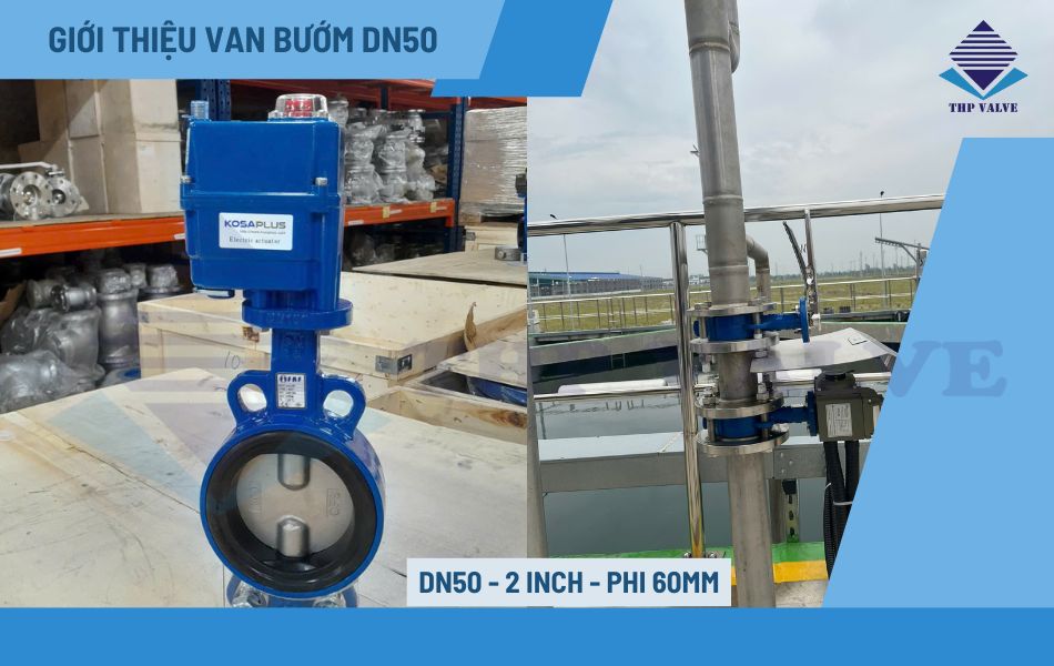 tong-quan-ve-van-buom-dn50