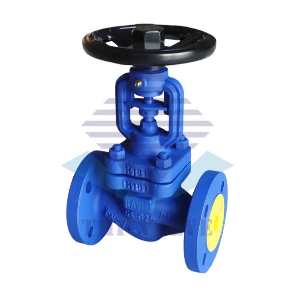 van-cau-dn25-ravis-model-r-gb