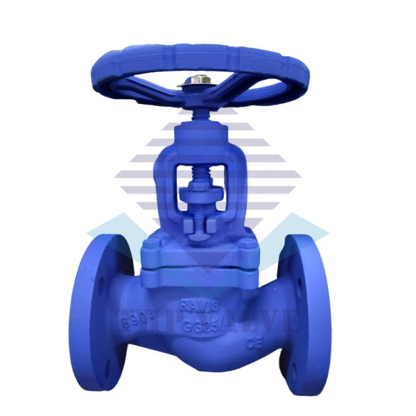 van-cau-dn25-ravis-model-r-gg