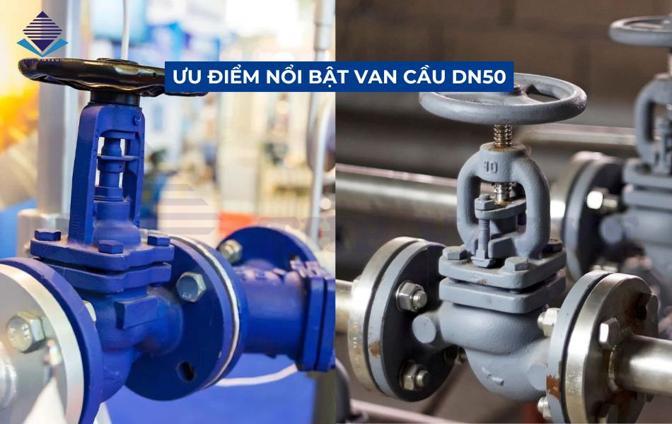 van-cau-dn50-co-dac-diem-gi-noi-bat