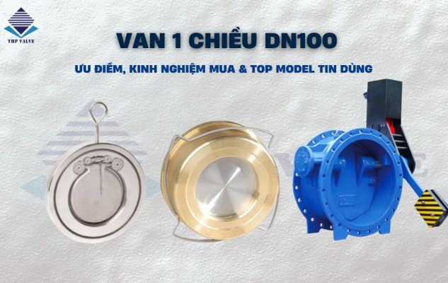 van 1 chiều dn100