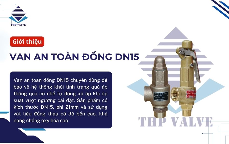 giới thiệu van an toàn đồng dn15 phi 21