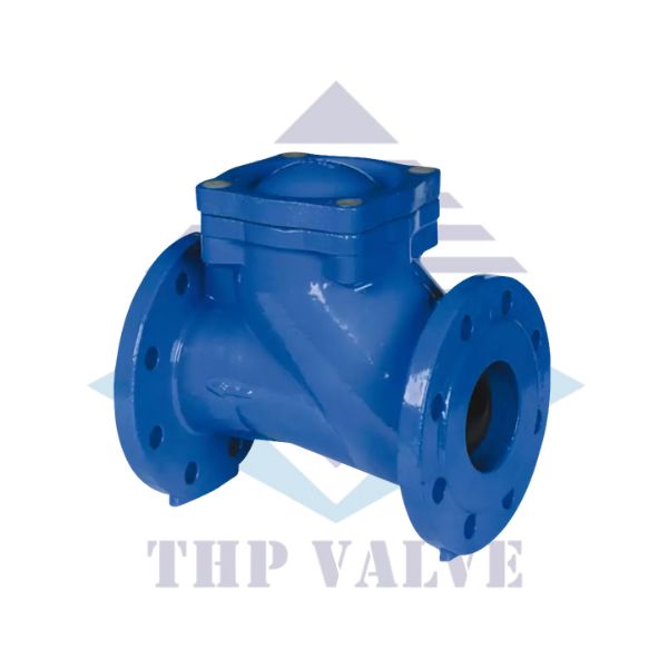 Van 1 chiều DN80 gang của KSB Đức