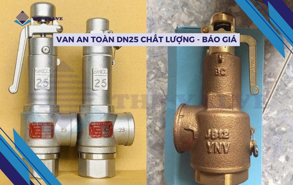van an toàn dn25