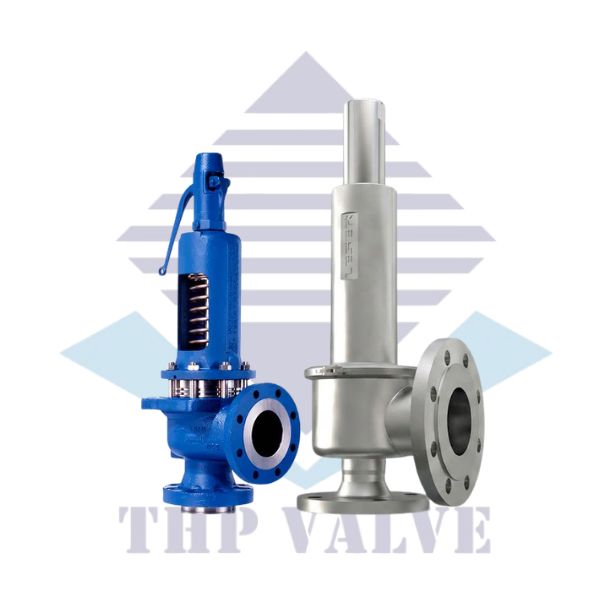 Van an toàn DN50 Leser dạng trực tiếp