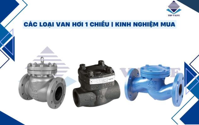 van hơi 1 chiều